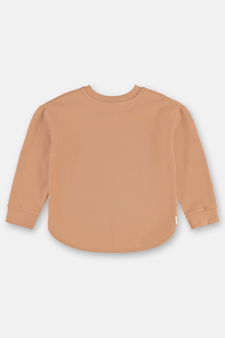 Up Baby Brown &amp; Navy Sweatshirt