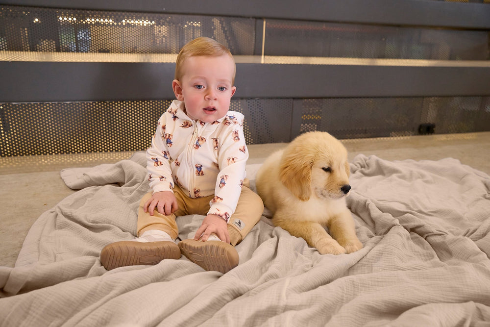 Quimby Jacket & Pants Set – Dogs - Nalua